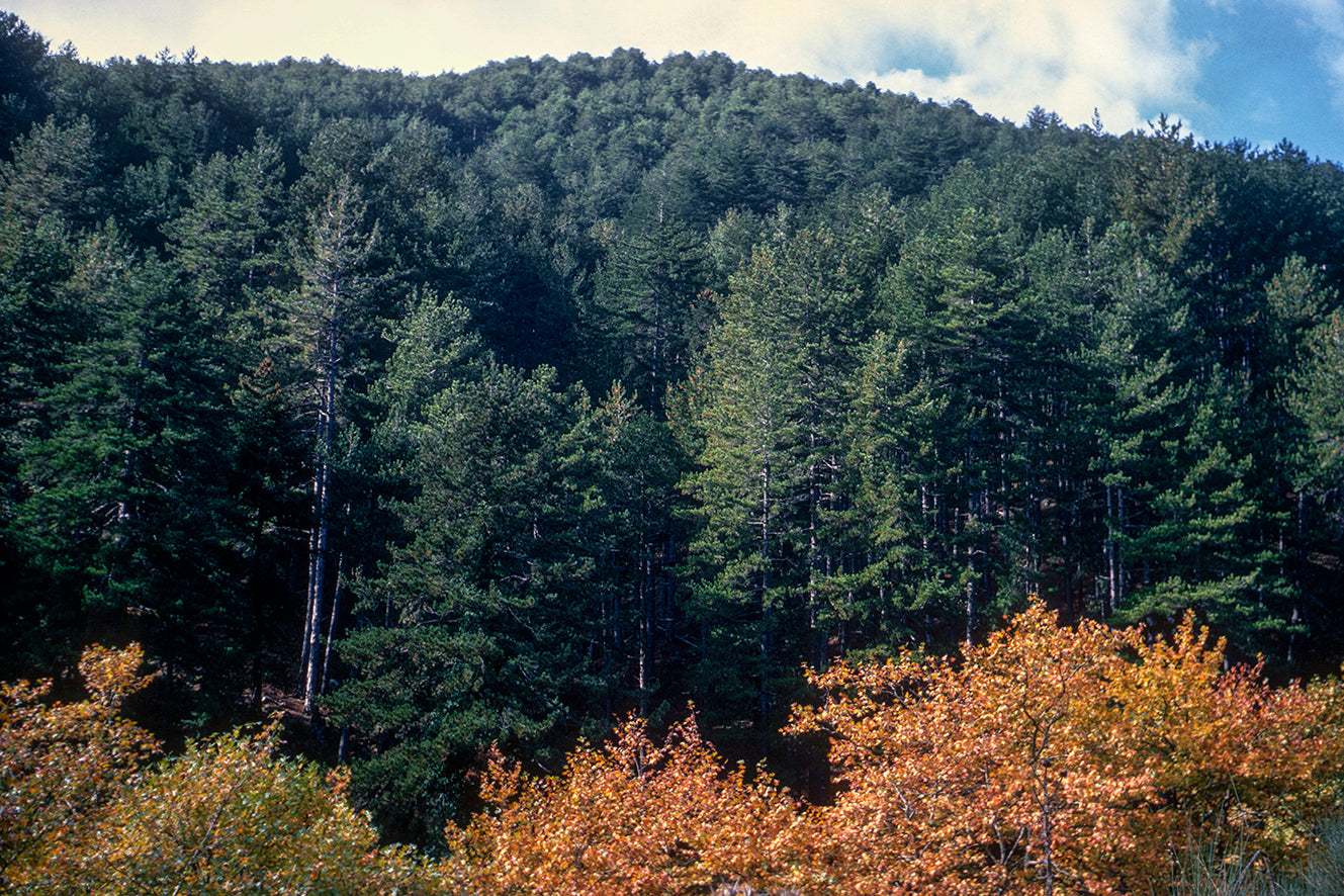 Peloponnese: Mount Taygetos full of colours