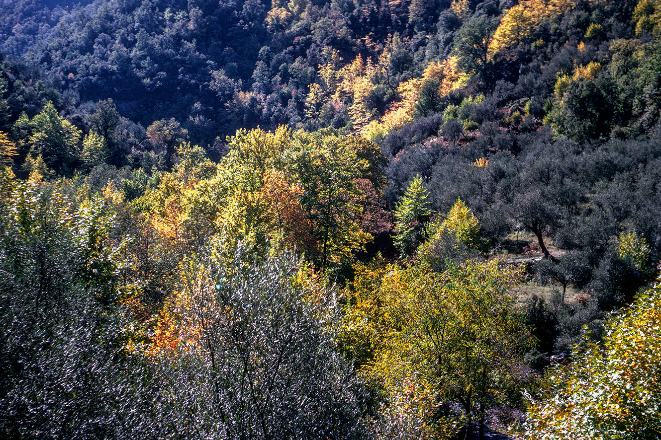 Peloponnese: Nature in Taygetos and in the background a mountain village: Nature in Mount Taygetos