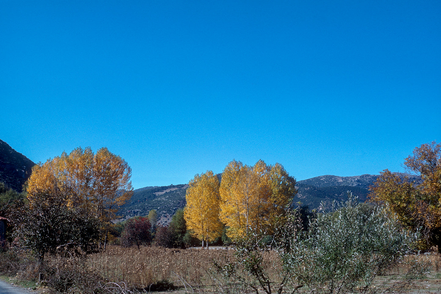 Peloponnese driving towards Dimitsana