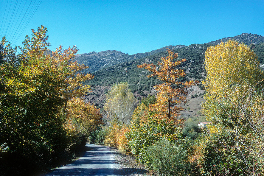 Peloponnese driving towards Dimitsana