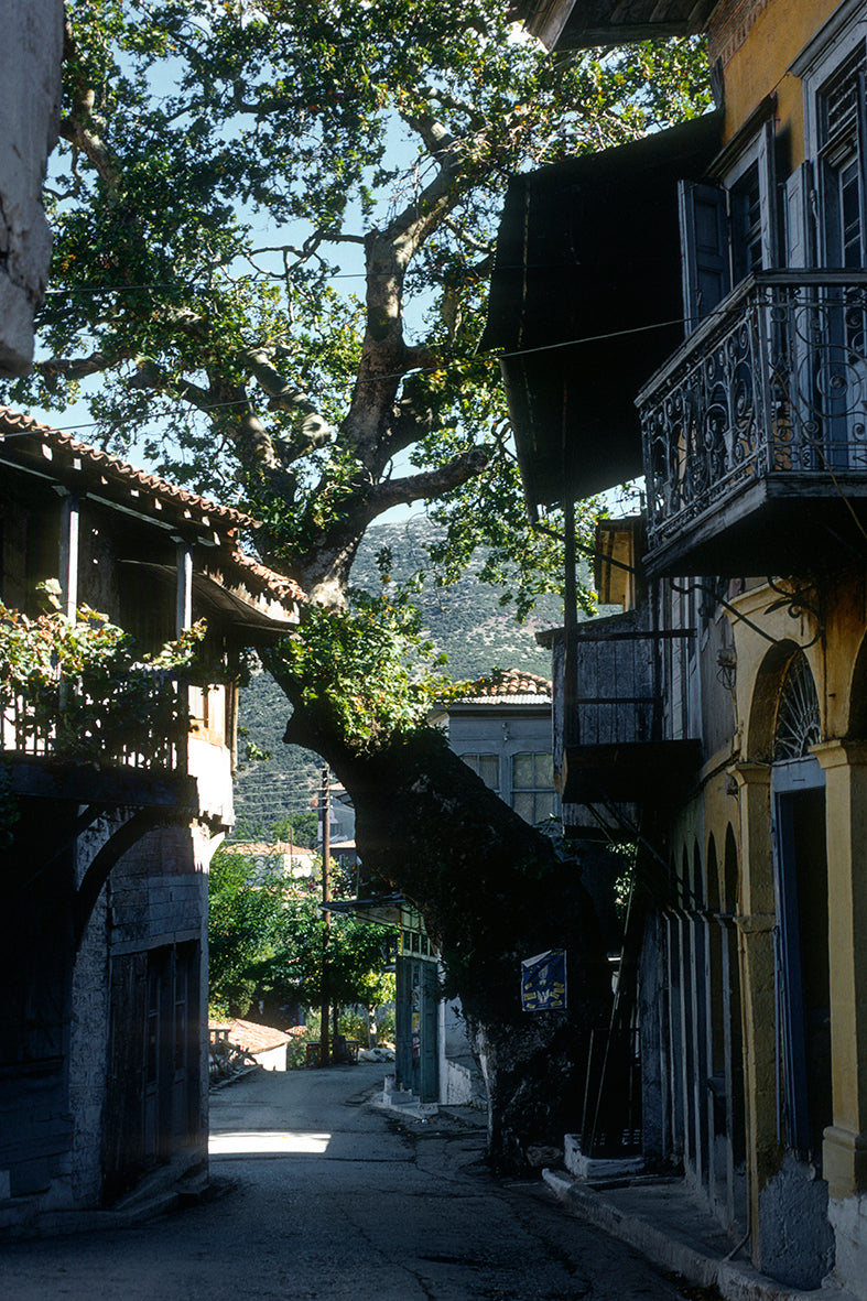 Peloponnese, Andritsaina village