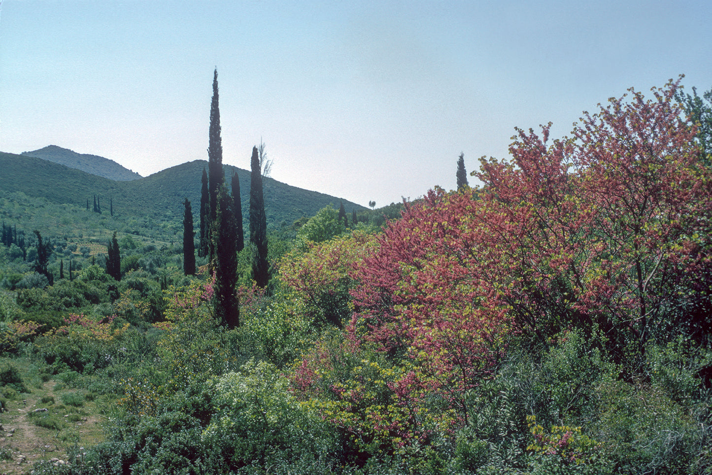 Nice landscape near Petralona in Messini