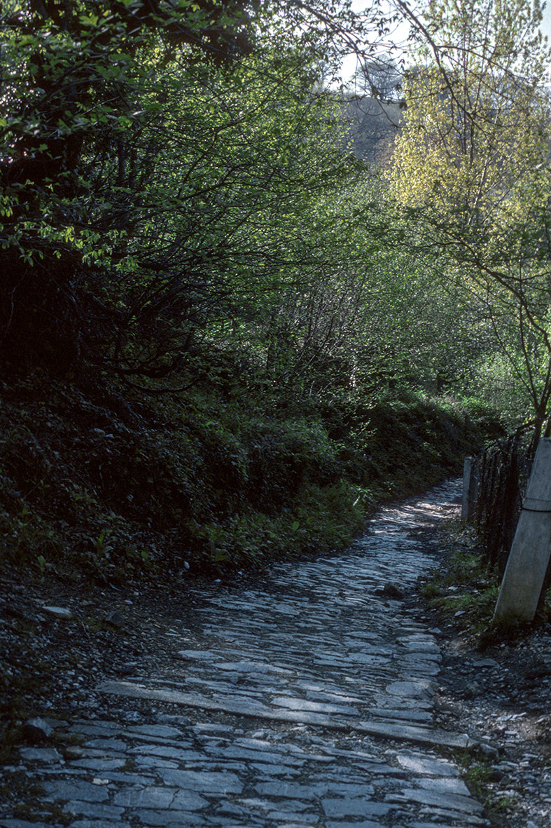 Pelion: A small path in Tsagarada