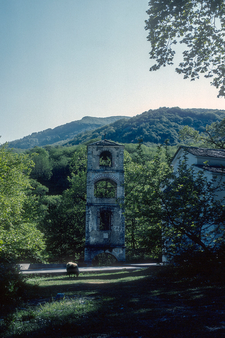 A glance of Spring in Pelion