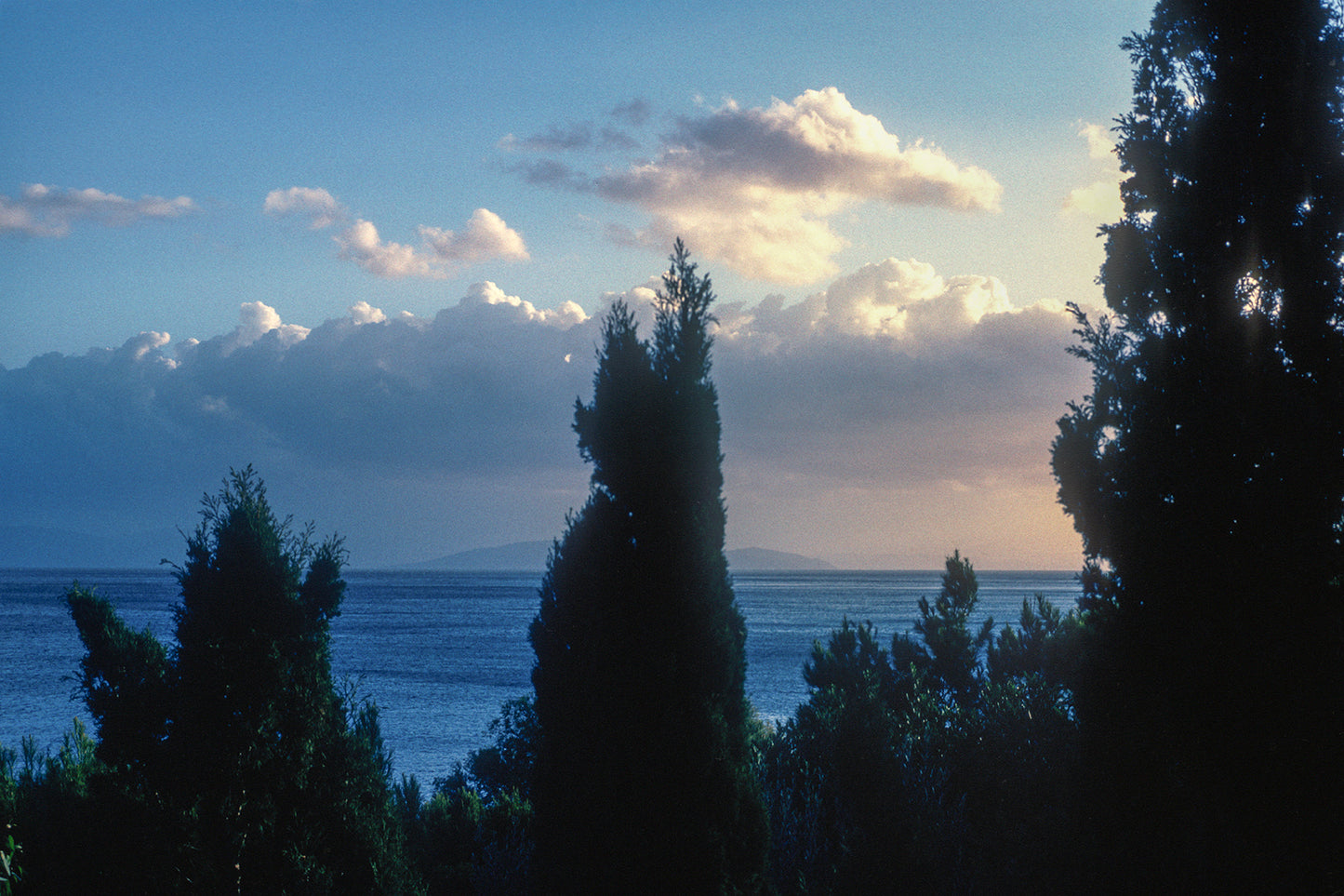 Just after the storm in Vravrona