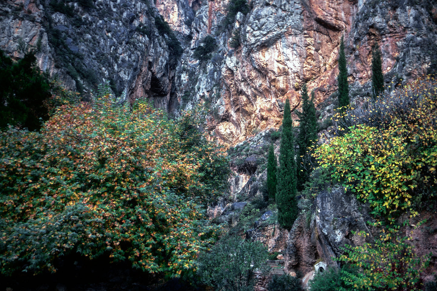 Delphi, the Castalia
