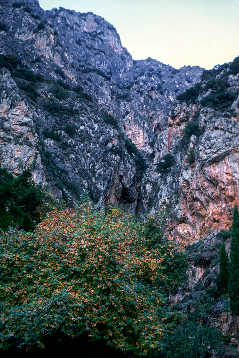 A landsape in Delphi