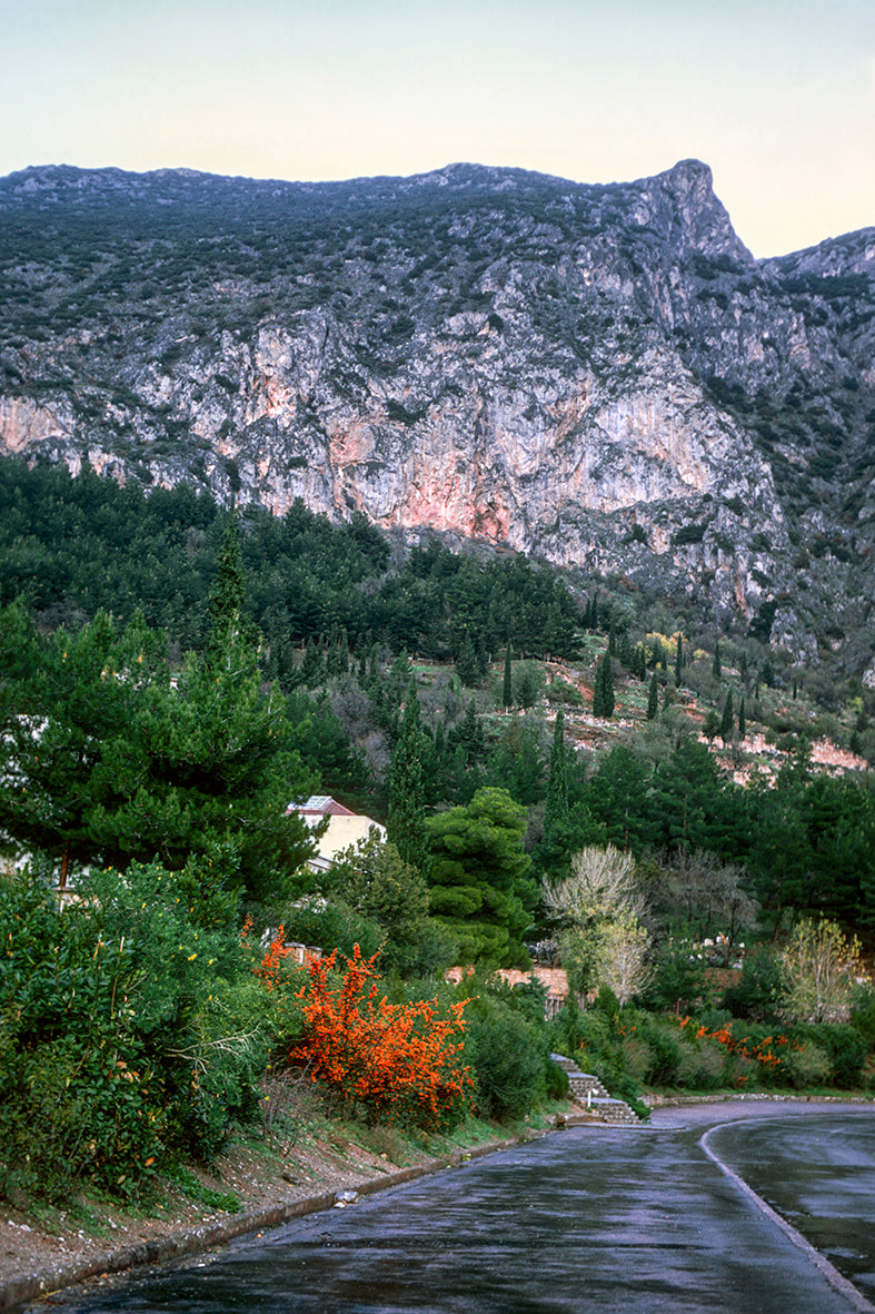 A landsape in Delphi