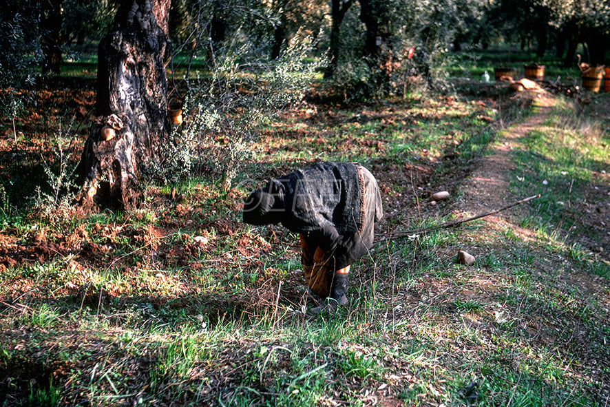 A villager somewhere in Amfissa
