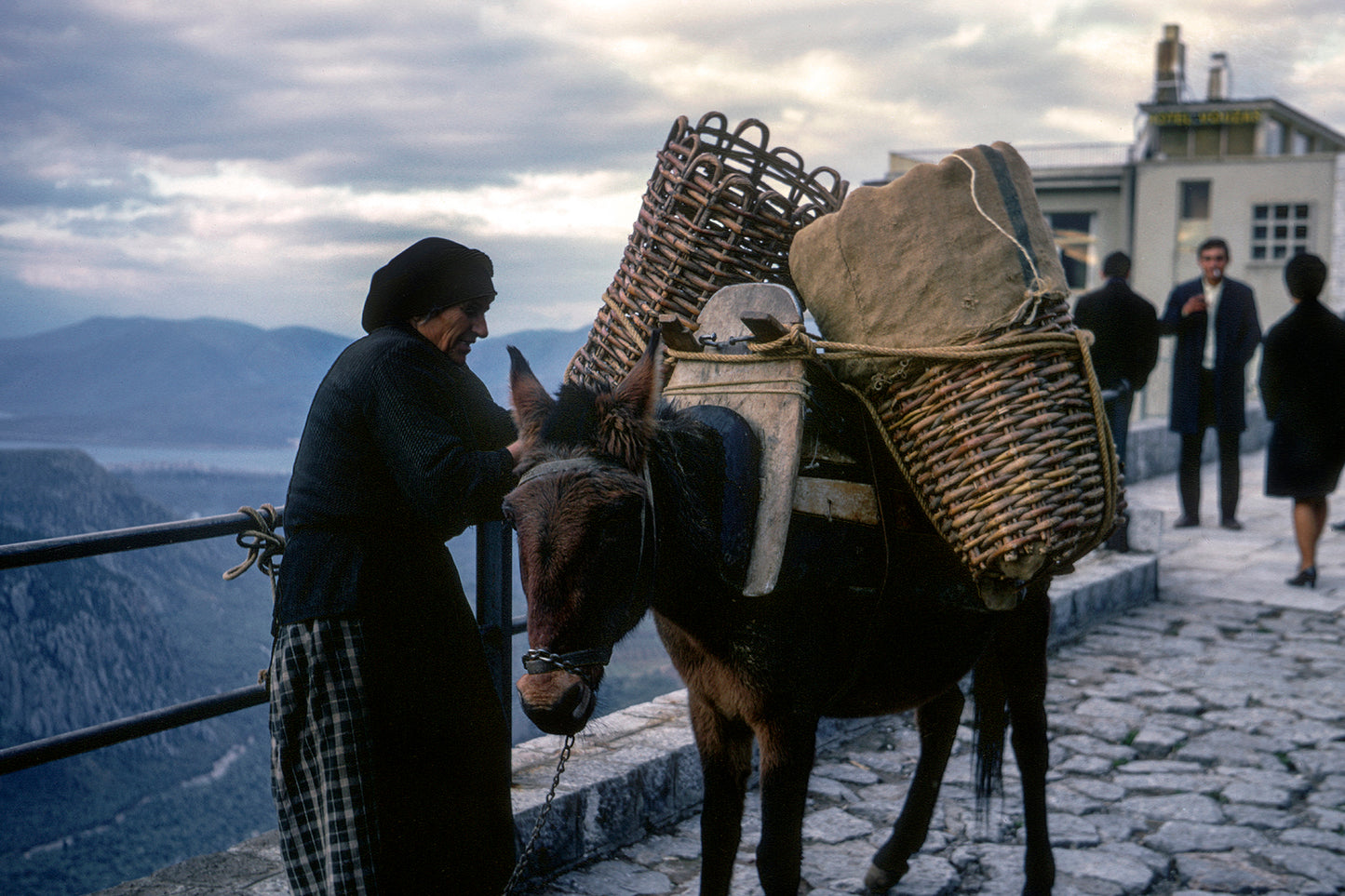 Δελφοί: Η γριούλα φορτώνει το μουλάρι
