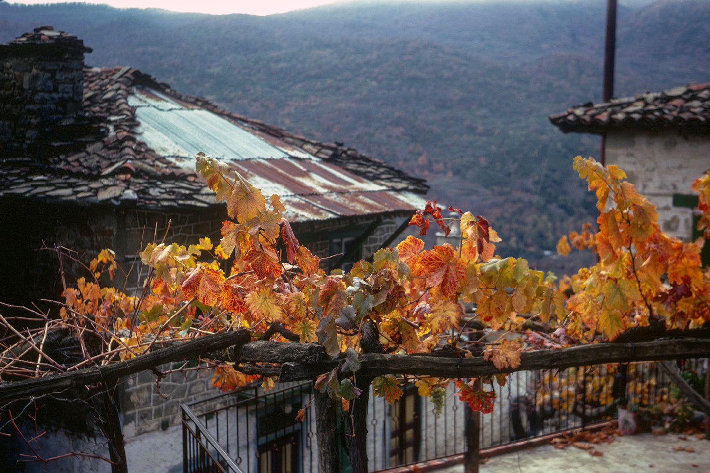 Terpsithea village at Mount Parnassos