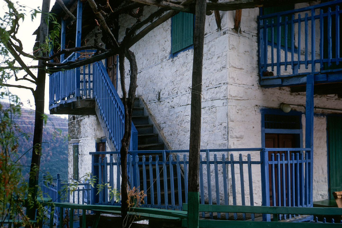 Terpsithea village at Mount Parnassos