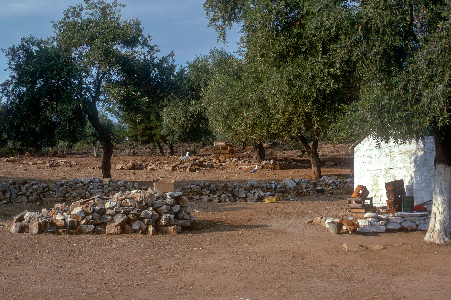 Σπιτάκι στην Χρυσή Άμμο στην Θάσο