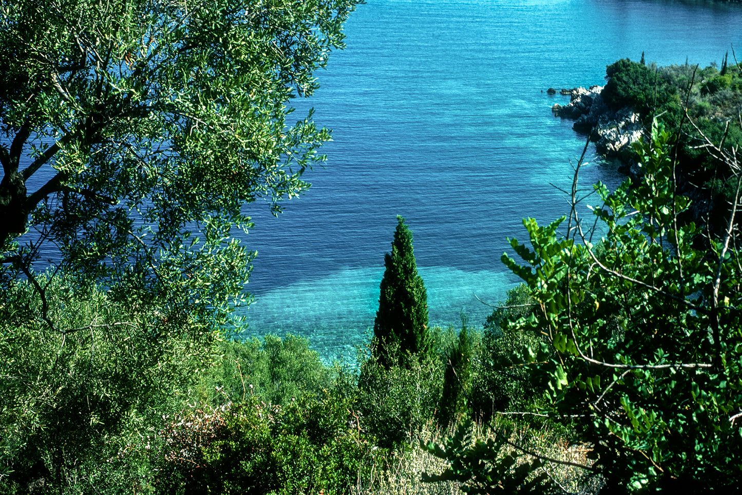 Ιθάκη, φύσις και κρυστάλλινα νερά