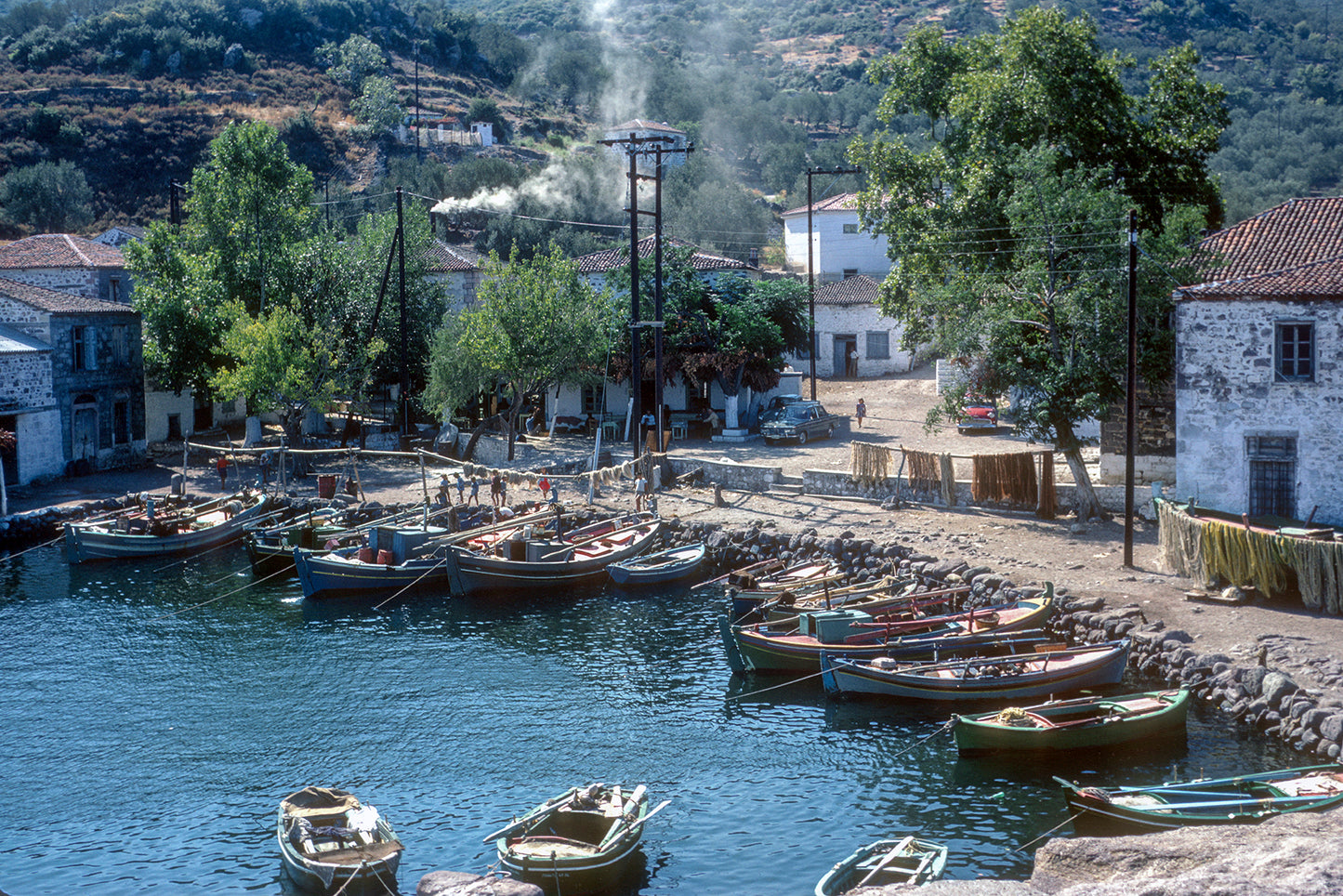 Μυτιλήνη: Συκαμιά το λιμανάκι