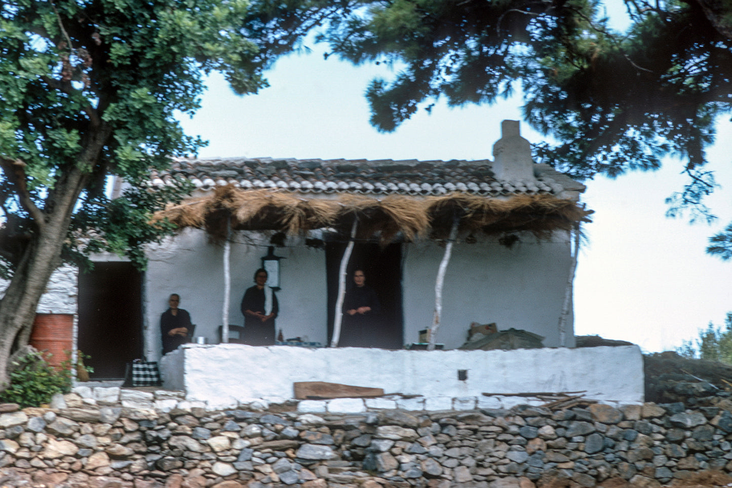 A family house in Samos