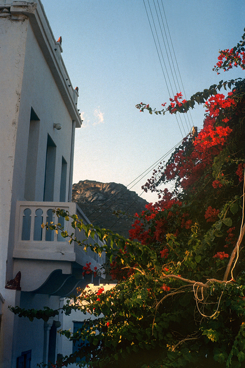 Amorgos island, house with bougainvillea in Katapola
