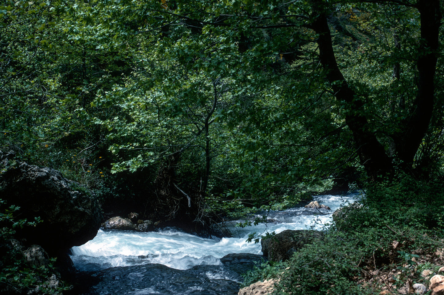 Κρήτη τοπίο στον Θέρισο