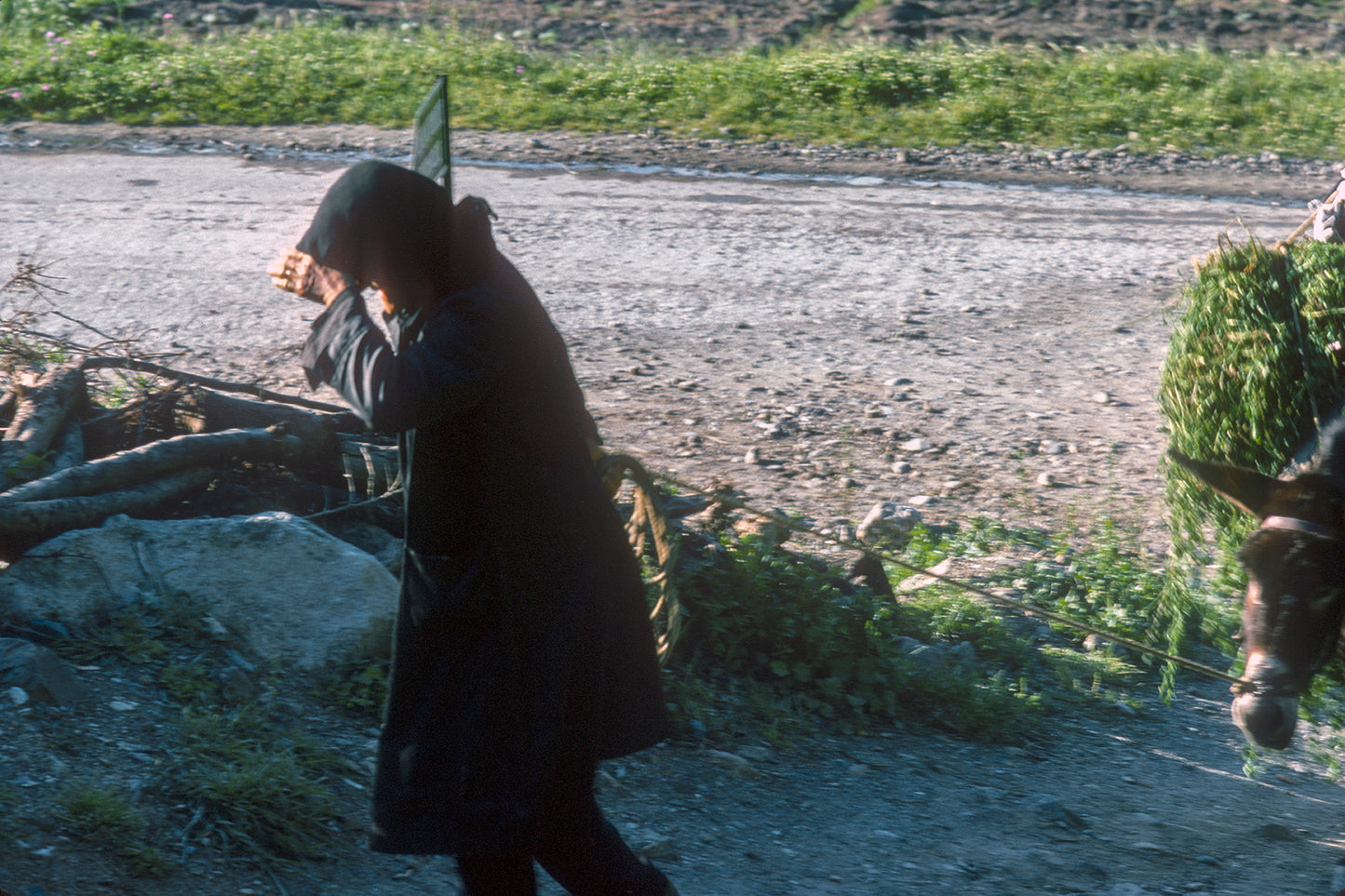Κρήτη: επιστρέφοντας από το χωράφι