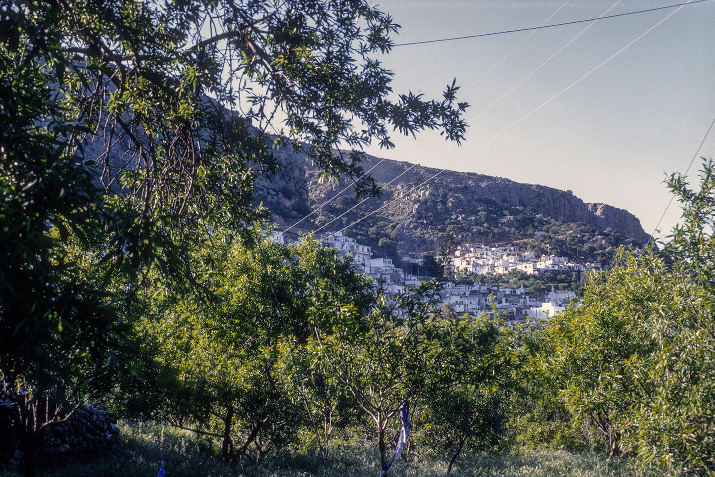 Crete, landscape in Kritsa