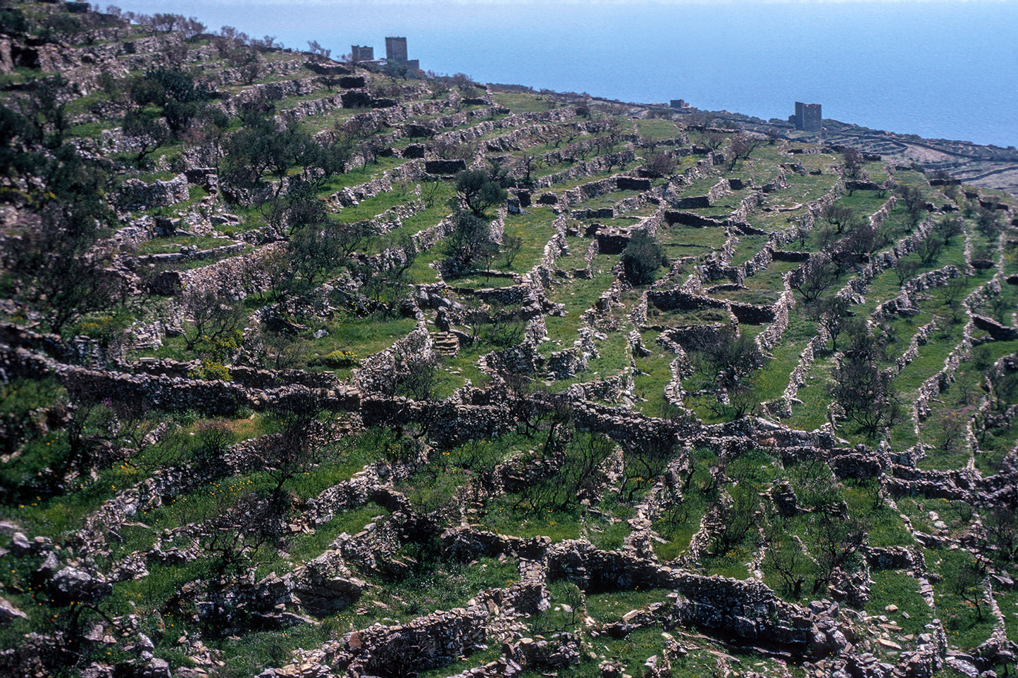 Μάνη στα Άλικα χωρισμένα τα οικόπεδα