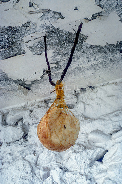 Μάνη στο Σκούταρι ένα τυρί ωριμάζει