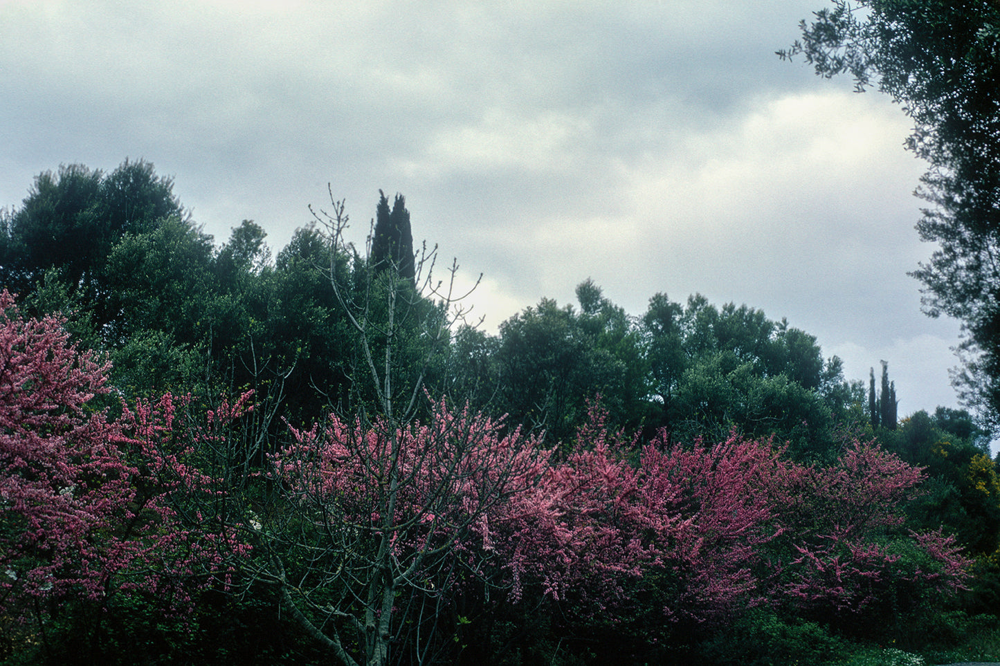 A cloudy day in the Peloponnese