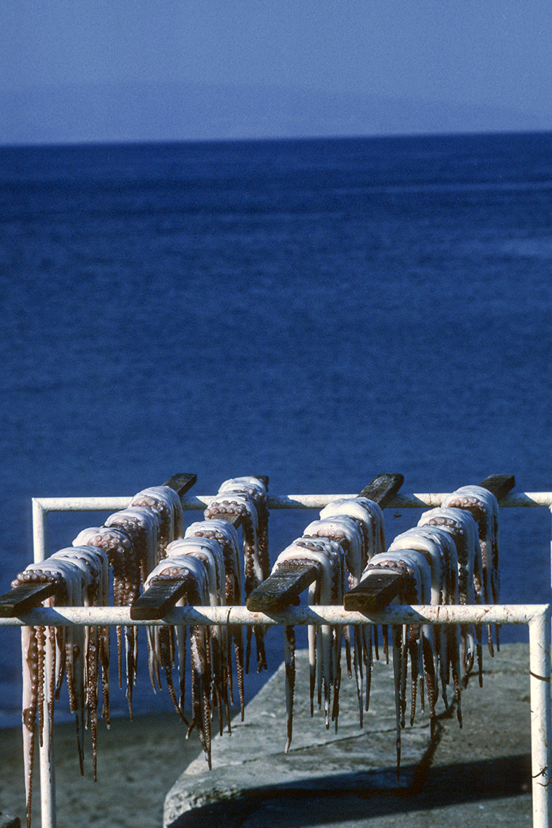 Τα χταπόδια στεγνώνουν