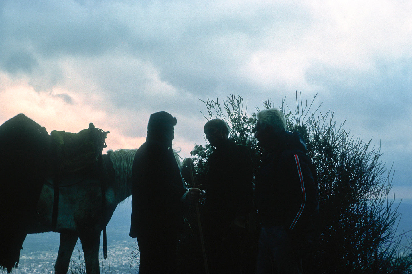 Κουβεντολόϊ με έναν βοσκό στο Πήλιο
