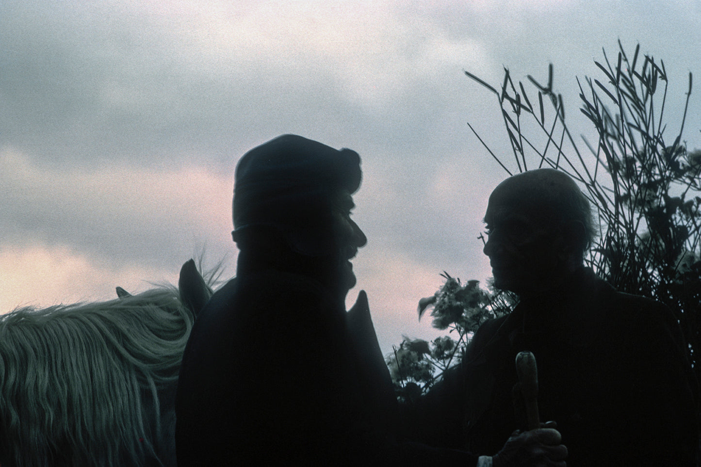 Κουβεντολόϊ με έναν βοσκό στο Πήλιο