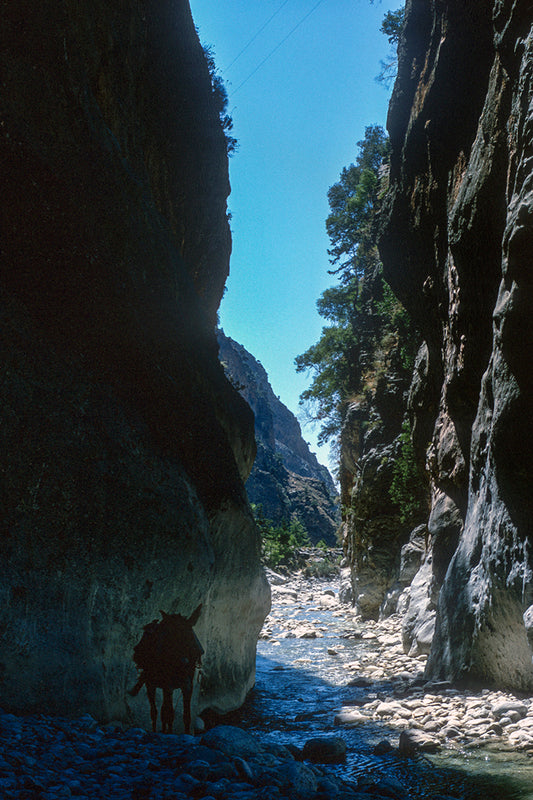 Crete the Samaria canyon