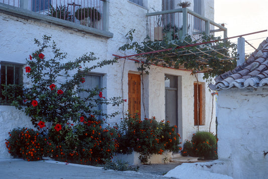 Peloponnese: Houses in Astros