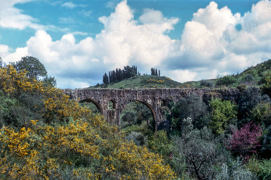 Peloponnese, landscape in spring