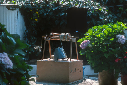 Peloponnese: A well among the flowers