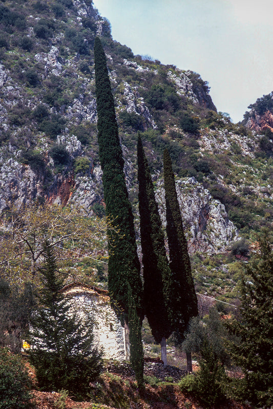 Πελοπόννησος: Περίχωρα Σπάρτης, Αναβρυτή