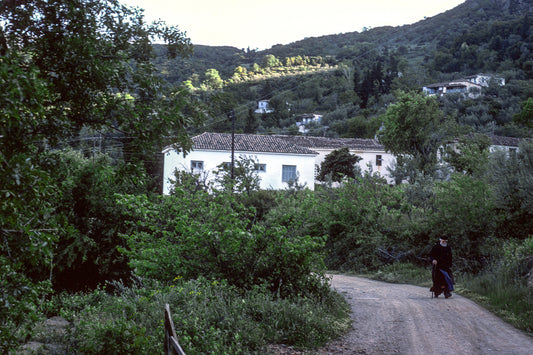 Peloponnese: In Pikoulianika a priest on his way to the village