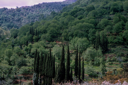 Laconia the landscape somewhere between Georgitsi and Agoriani