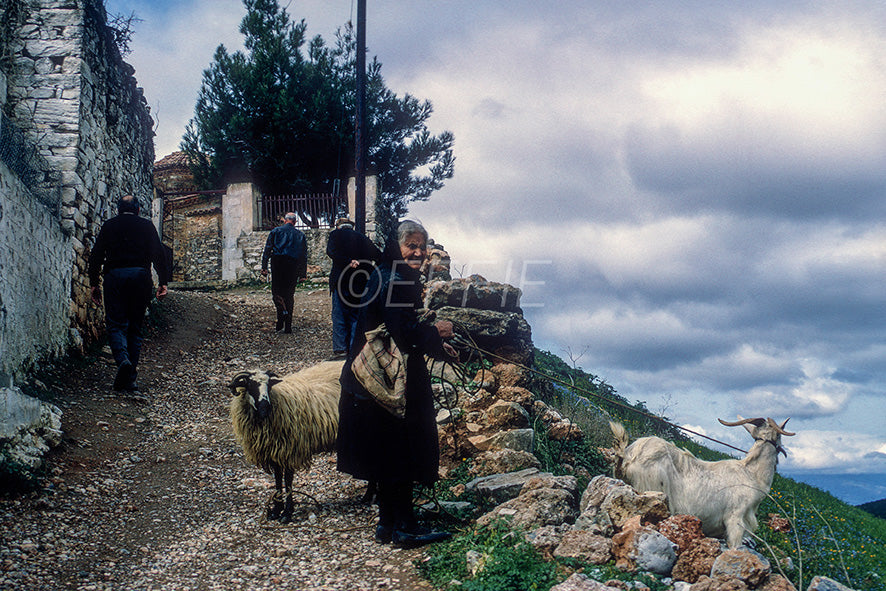 Χρύσαφα Λακωνίας η γυναίκα και τα ζώα της