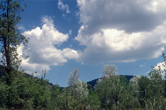 Lakonia, landscape in Tzitzina