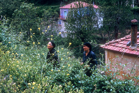 Lakonia, driving towards Tzitzina we met two women in the wildflowers