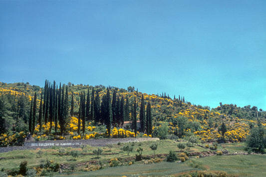 Peloponnese, driving towards Kato Figaliea, the landscape and in the background the small cemetery of the village