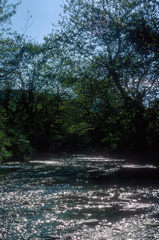 Peloponnese, the river near to Goranoi