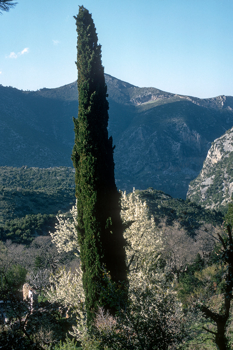 Peloponnese, landscape near Goranoi