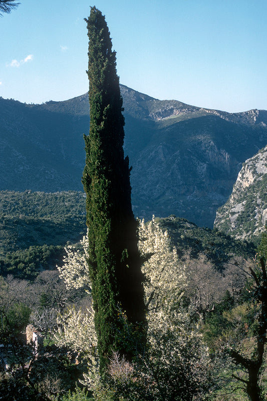 Peloponnese, landscape near Goranoi