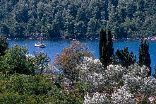 Skopelos in Panormos