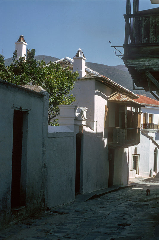 A side road in Skopelos