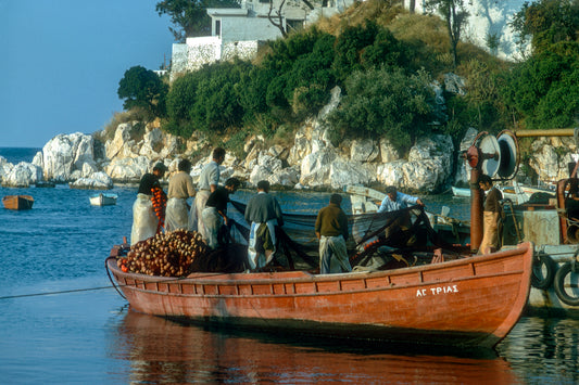 Skiathos, the fishermen are coming back