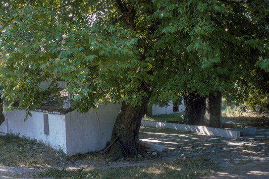 A chapel in Skiathos