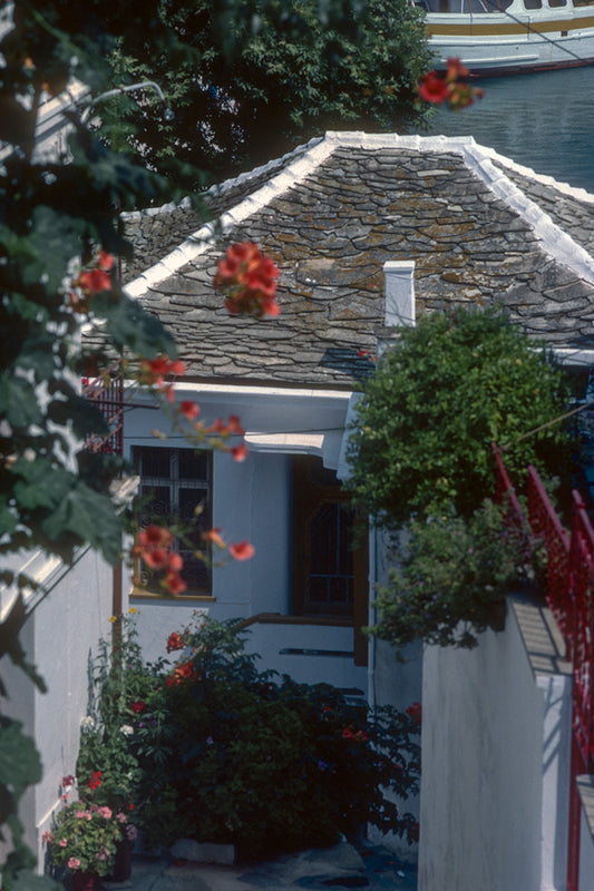 The yard of a house by the sea in Skopelos