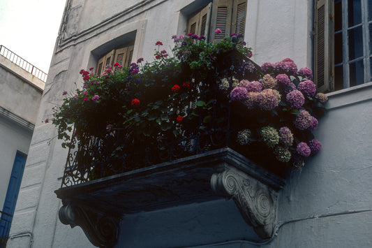 A flowered balcony in Skopelos